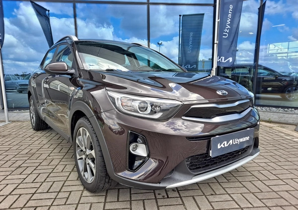 Kia Stonic cena 69900 przebieg: 69845, rok produkcji 2019 z Osiek małe 301